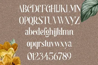 Begova font