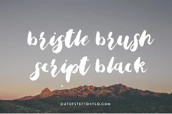 Bristle Brush Script Black font