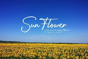 Sun Deep Handwritten font