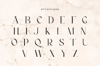 Quloon font