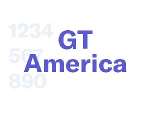 GT America Family font