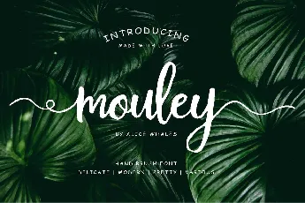 Mouley Script Free Download font