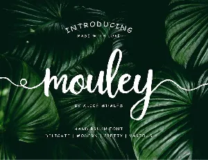 Mouley Script Free Download font