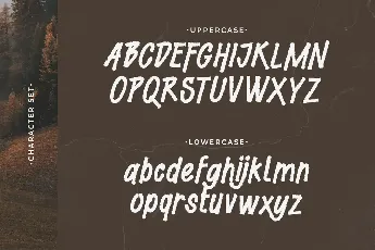 Risky Venture font