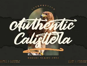 Authentic Calisttera font