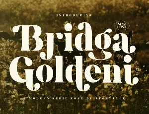 Bridga Goldeni font