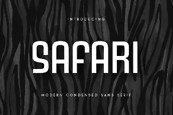 SS Safari font