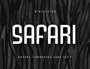 SS Safari font