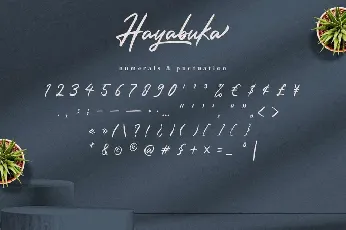 Hayabuka font