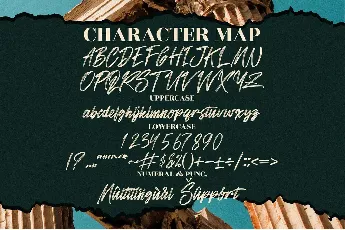 Sandershon font