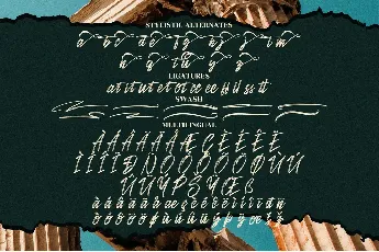 Sandershon font