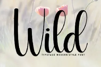 Wild Script font