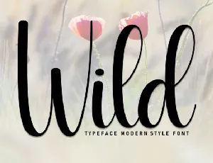 Wild Script font