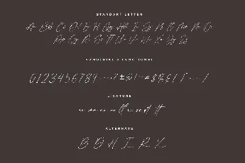 Shamson Signature font