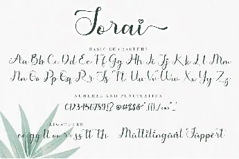 Sorai font