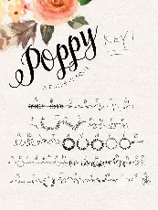 Poppy Script font