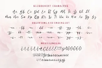 Bluehonest font