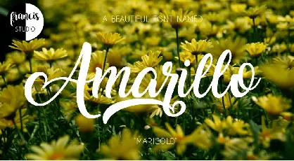 Amarillo Free Download font