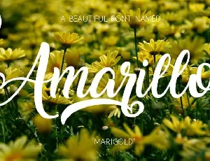 Amarillo Free Download font