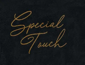 Special Touch Script Free font