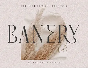 Banery font