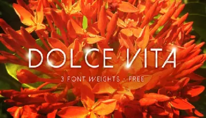 Dolce Vita Free font