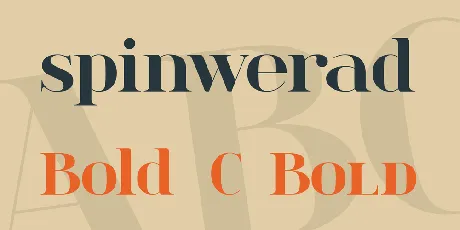 spinwerad font