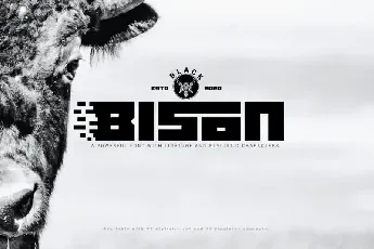 Black Bison Display font