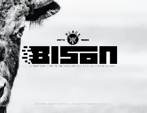 Black Bison Display font