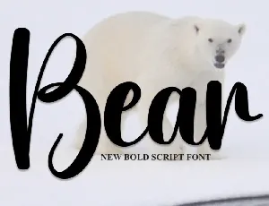 Bear Script font