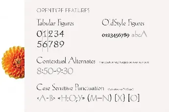 Hellen Serif Free font