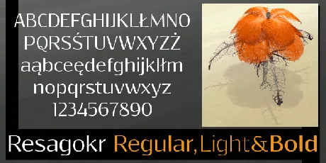 Resagokr font