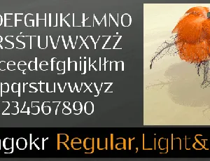 Resagokr font