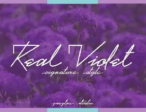 Real Violet Script font