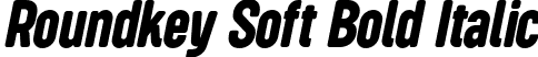 Roundkey Soft Bold Italic font | RoundkeySoft BoldOblique.otf