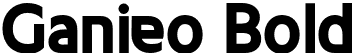 Ganieo Bold font | Ganieo Bold.otf