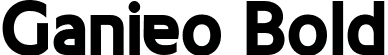 Ganieo Bold font | Ganieo Bold.ttf