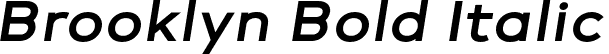 Brooklyn Bold Italic font | Brooklyn BoldItalic.otf