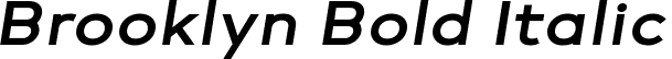 Brooklyn Bold Italic font | Brooklyn BoldItalic.ttf