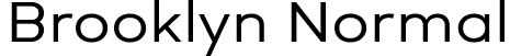 Brooklyn Normal font | Brooklyn Normal 1.ttf