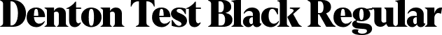 Denton Test Black Regular font | Denton Test Black 900.otf