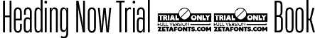 Heading Now Trial 23 Book font | HeadingNowTrial-23Book.ttf