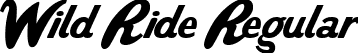 Wild Ride Regular font | WildRide.ttf