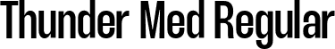 Thunder Med Regular font | Thunder-MediumLC.ttf