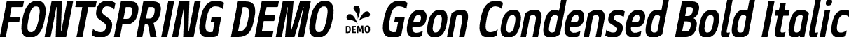 FONTSPRING DEMO - Geon Condensed Bold Italic font | Fontspring-DEMO-geoncond-boldit.otf