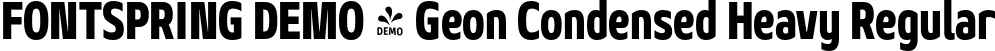 FONTSPRING DEMO - Geon Condensed Heavy Regular font | Fontspring-DEMO-geoncond-heavy.otf