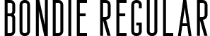 Bondie Regular font | Bondie Demo Regular.ttf