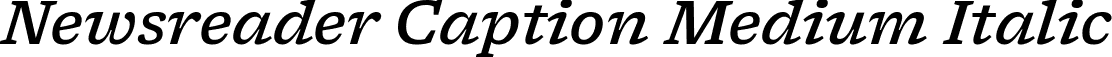Newsreader Caption Medium Italic font | NewsreaderCaption-MediumItalic.ttf