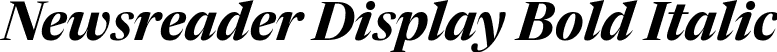 Newsreader Display Bold Italic font | NewsreaderDisplay-BoldItalic.ttf