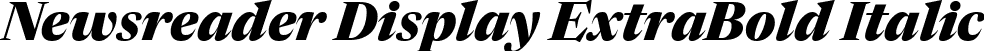 Newsreader Display ExtraBold Italic font | NewsreaderDisplay-ExtraBoldItalic.ttf